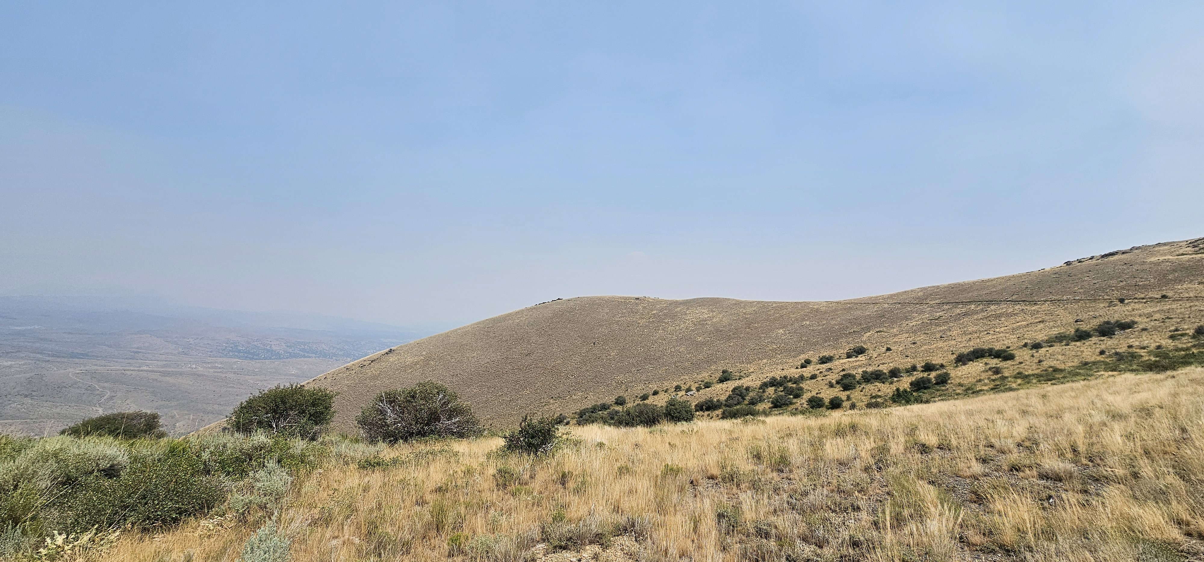 a close up of a leaf