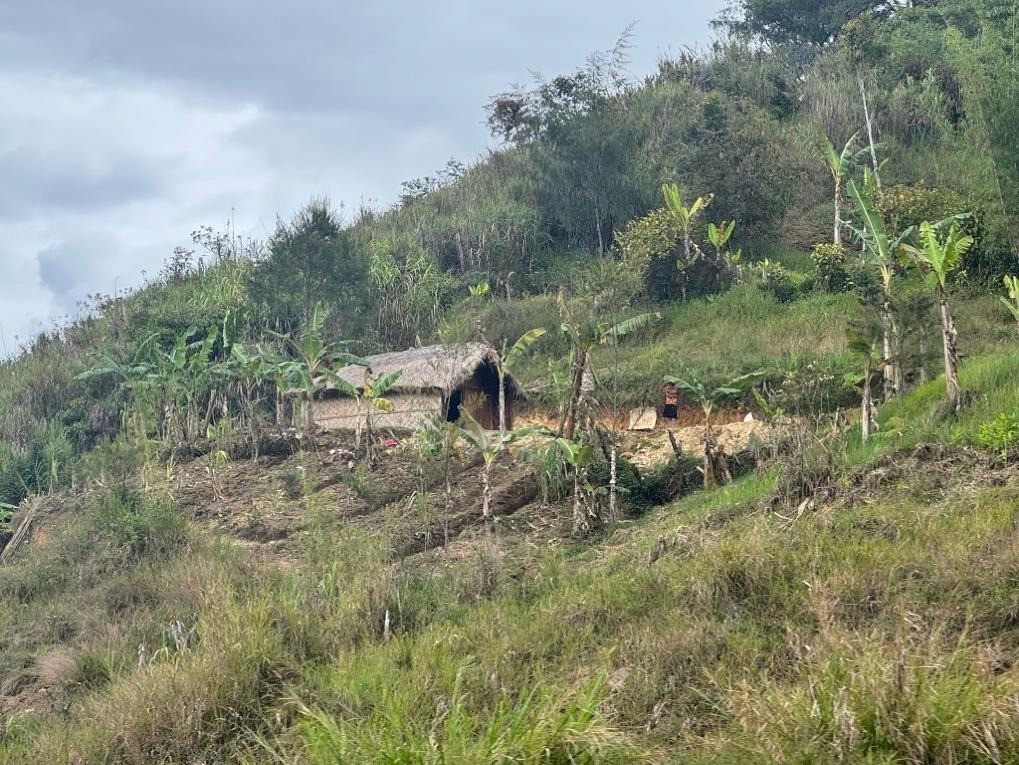 A small hut on a hill

AI-generated content may be incorrect.