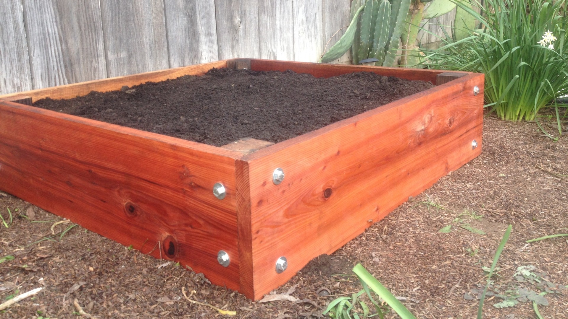 New Planter Box