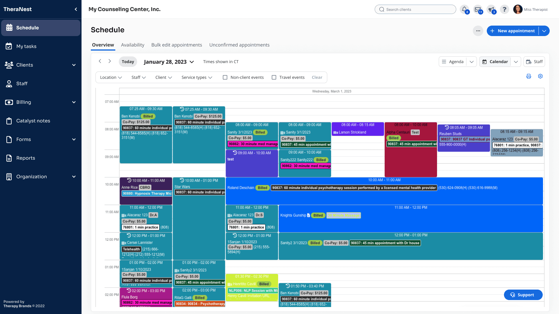 TheraNest calendar view showing a dense daily schedule with color-coded appointment blocks across multiple time slots and providers.