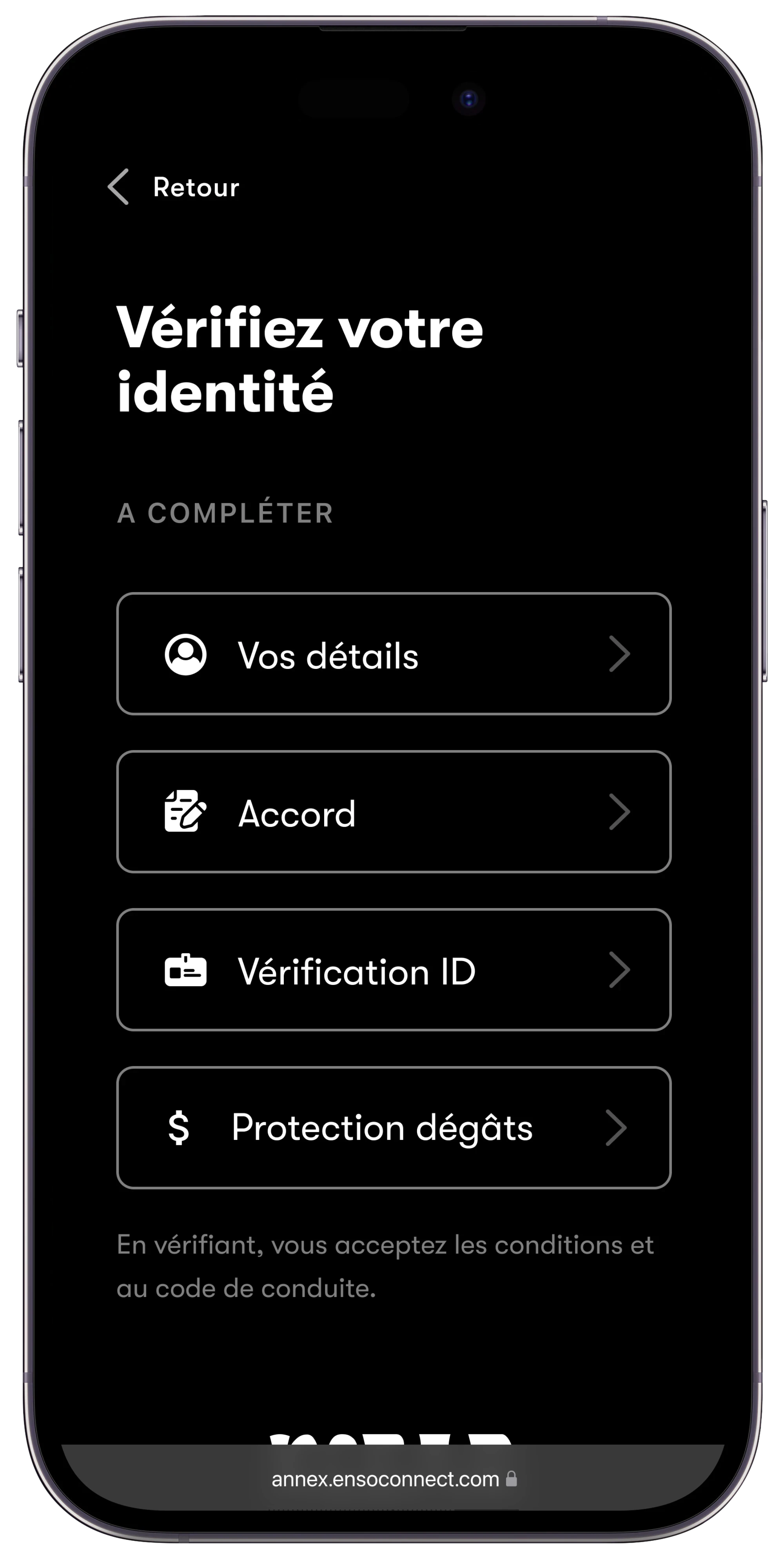 Verification Options