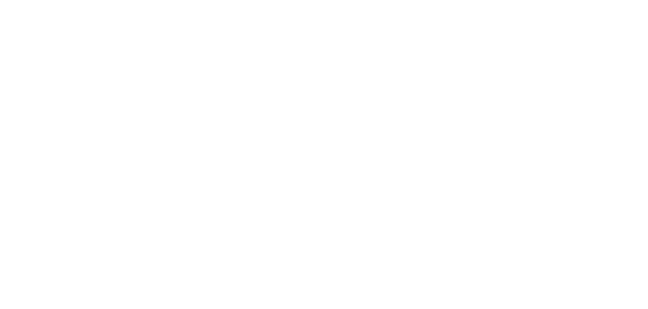 Pest Hero