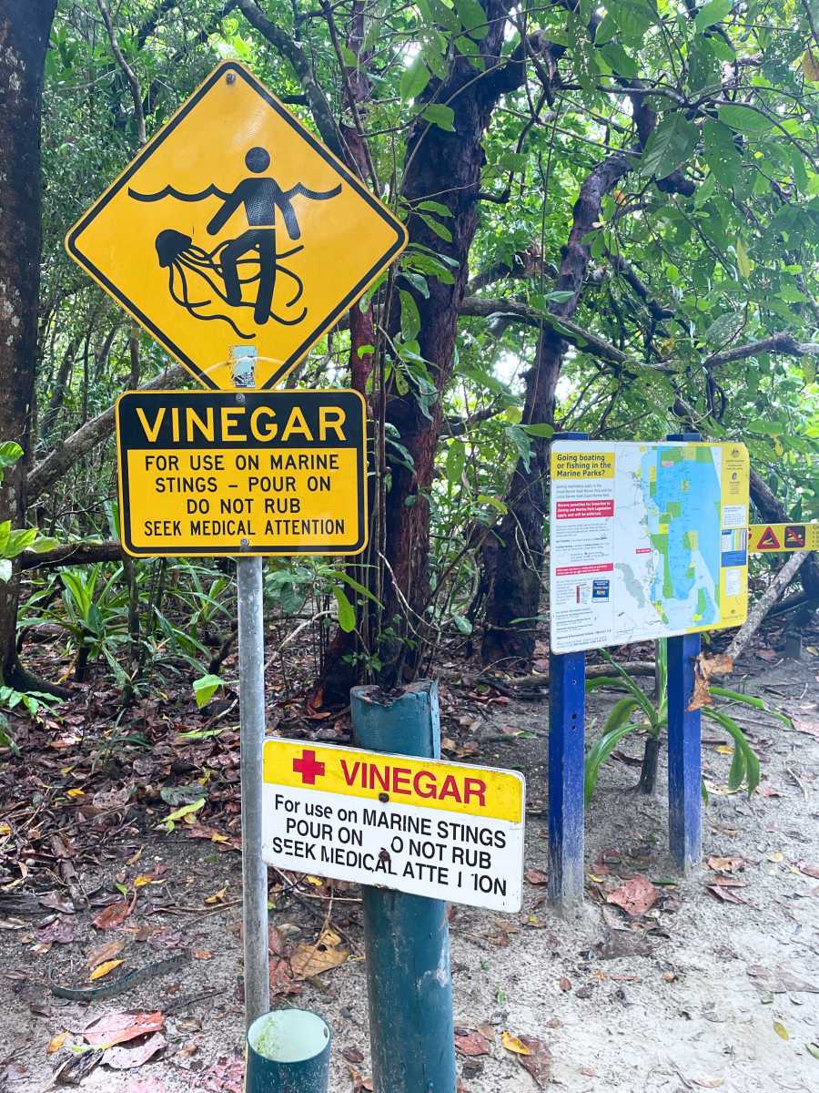 warning signs at cape tribulation beach