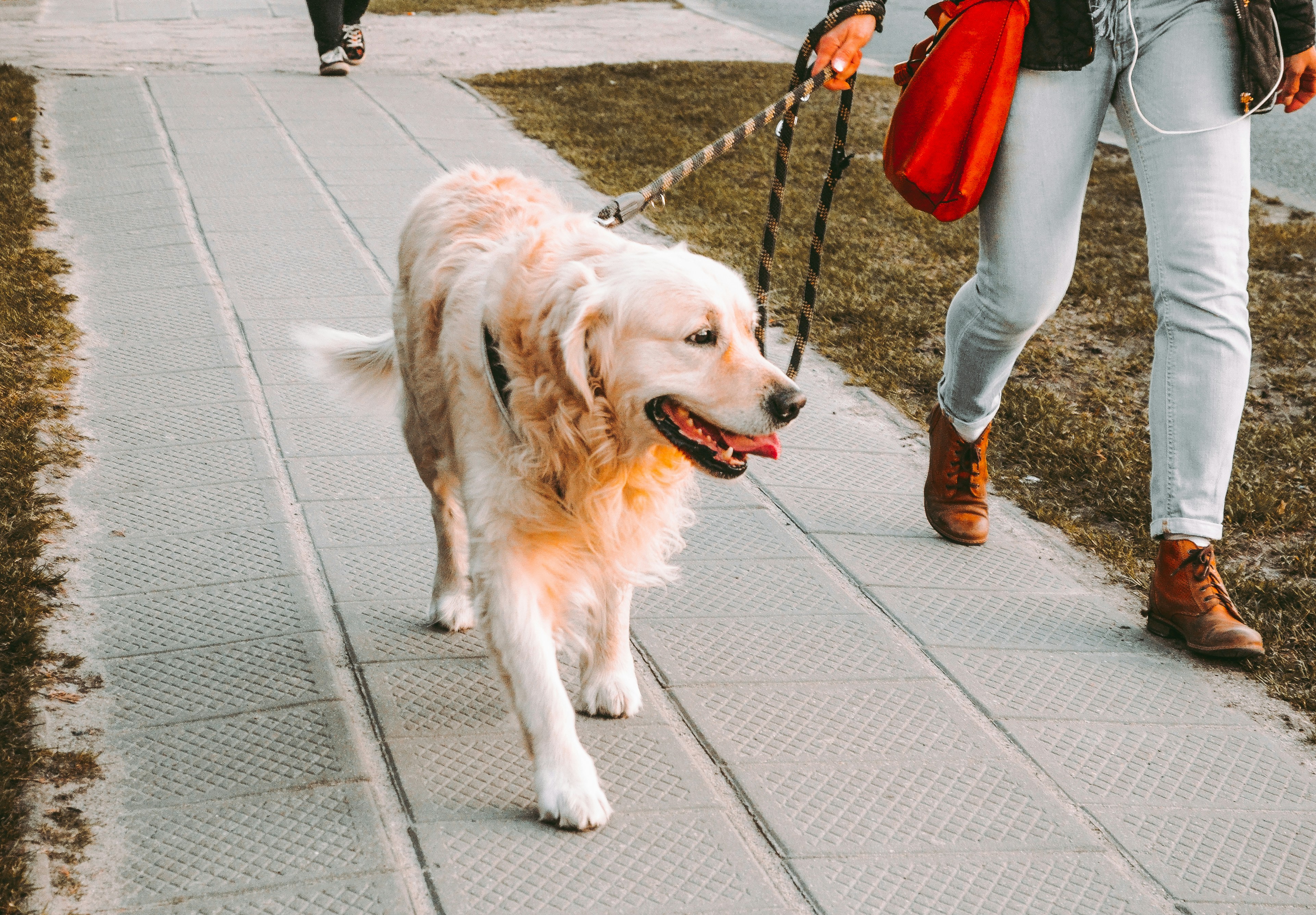 La importancia del paseo