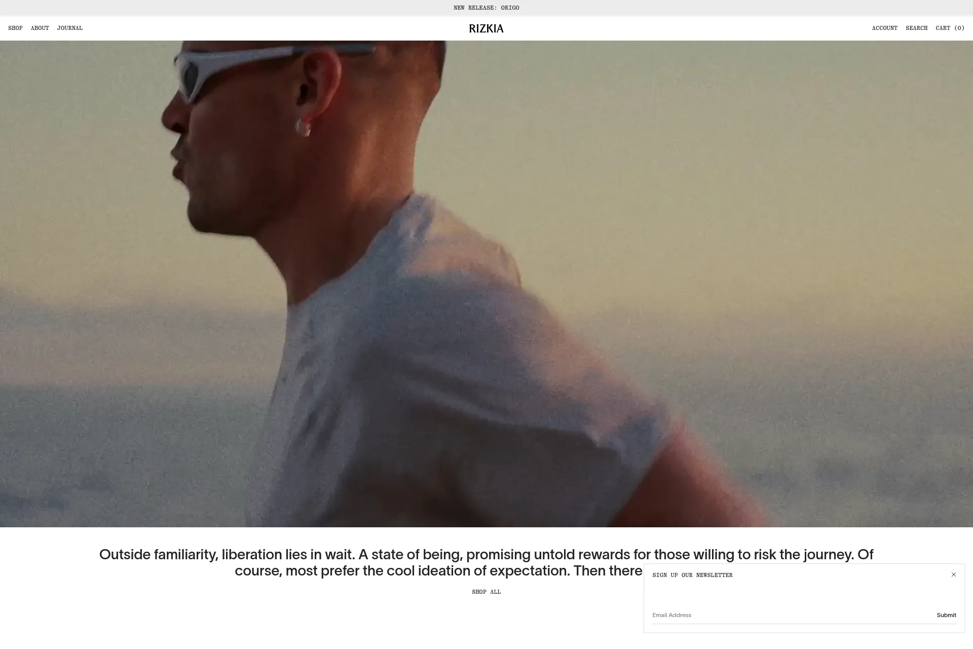 Screenshot of Rizkia website