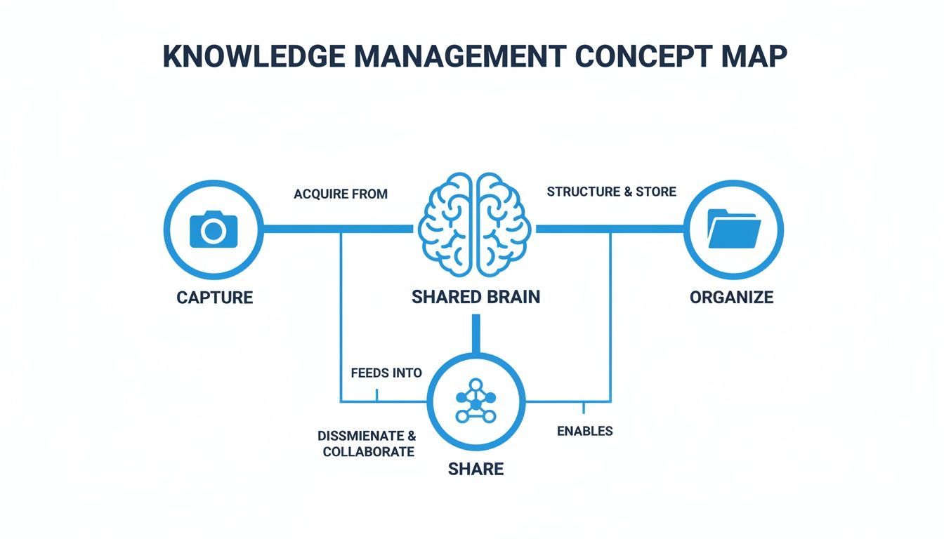 Knowledge management concept map illustrating the processes of capture, shared brain, organize, and share.