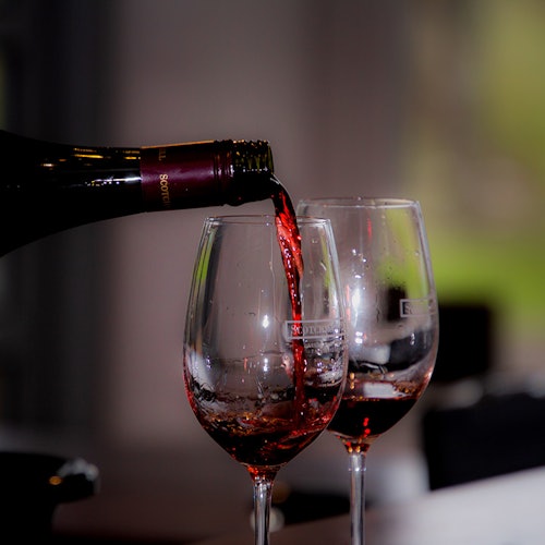 葡萄酒品鉴活动