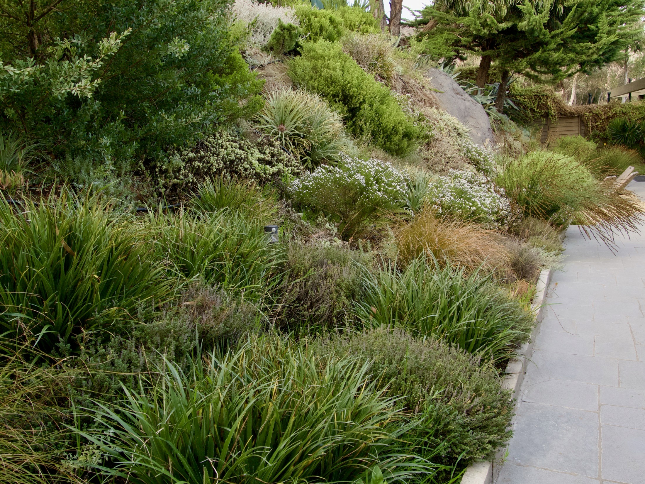 Carola Page Punta Pite Casa Nico