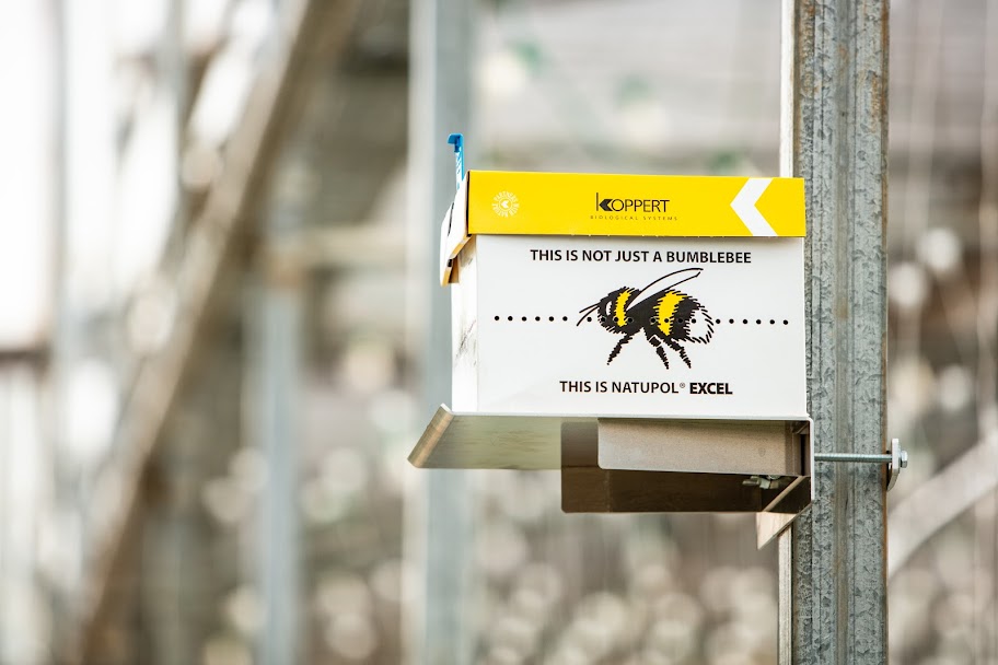 Managed beehive used for greenhouse pollination at Kentucky Fresh Harvest