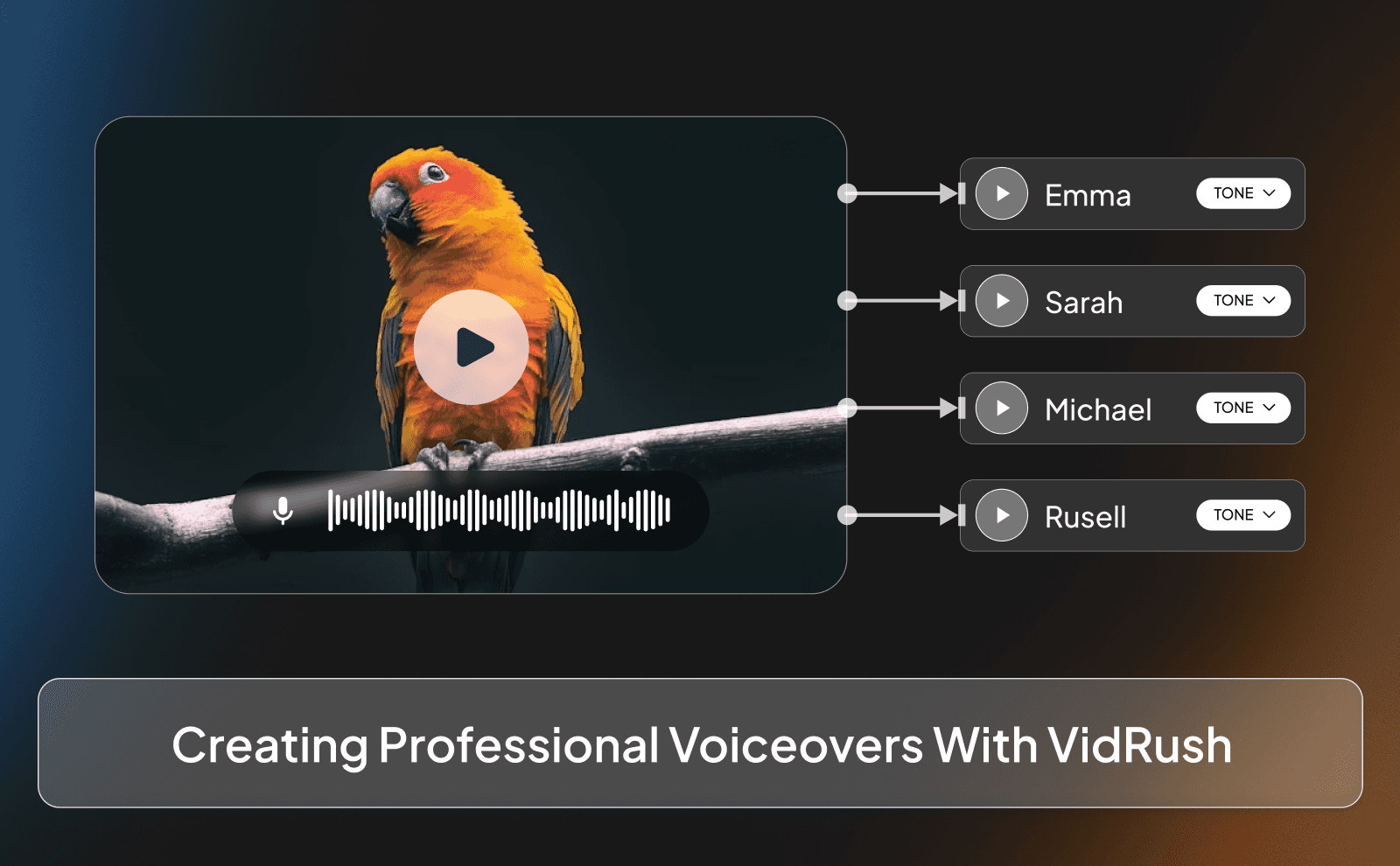Creating professional voiceovers with VidRush