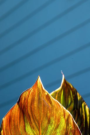 Day 94 (6-18-20)
