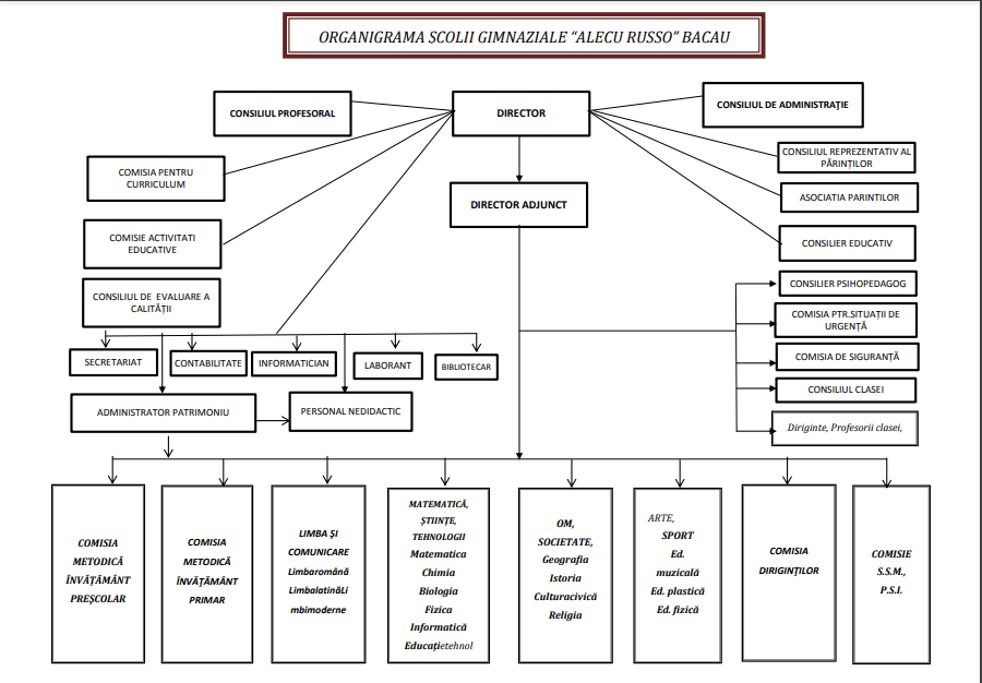 Organigrama Școlii