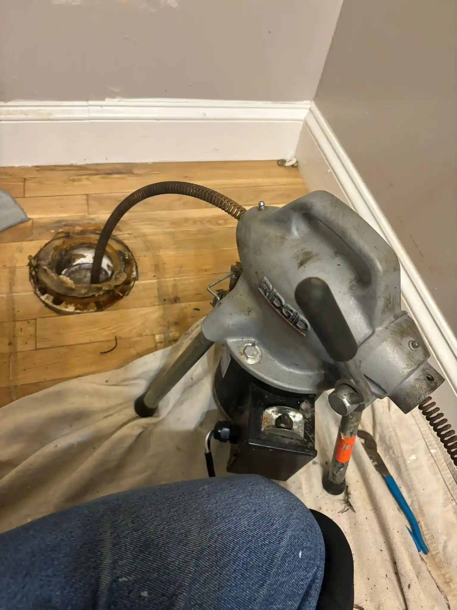 A professional plumbing auger feeding a cable into an open toilet drain to clear a severe blockage during a clogged sewer line service.