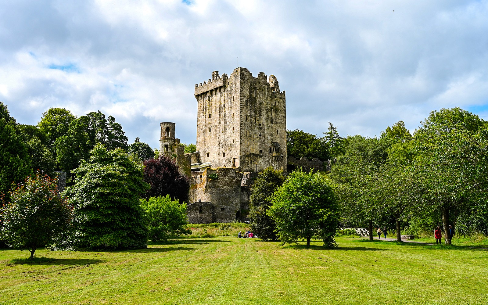 Blarney Castle and Gardens surrounded by lush greenery in Ireland.