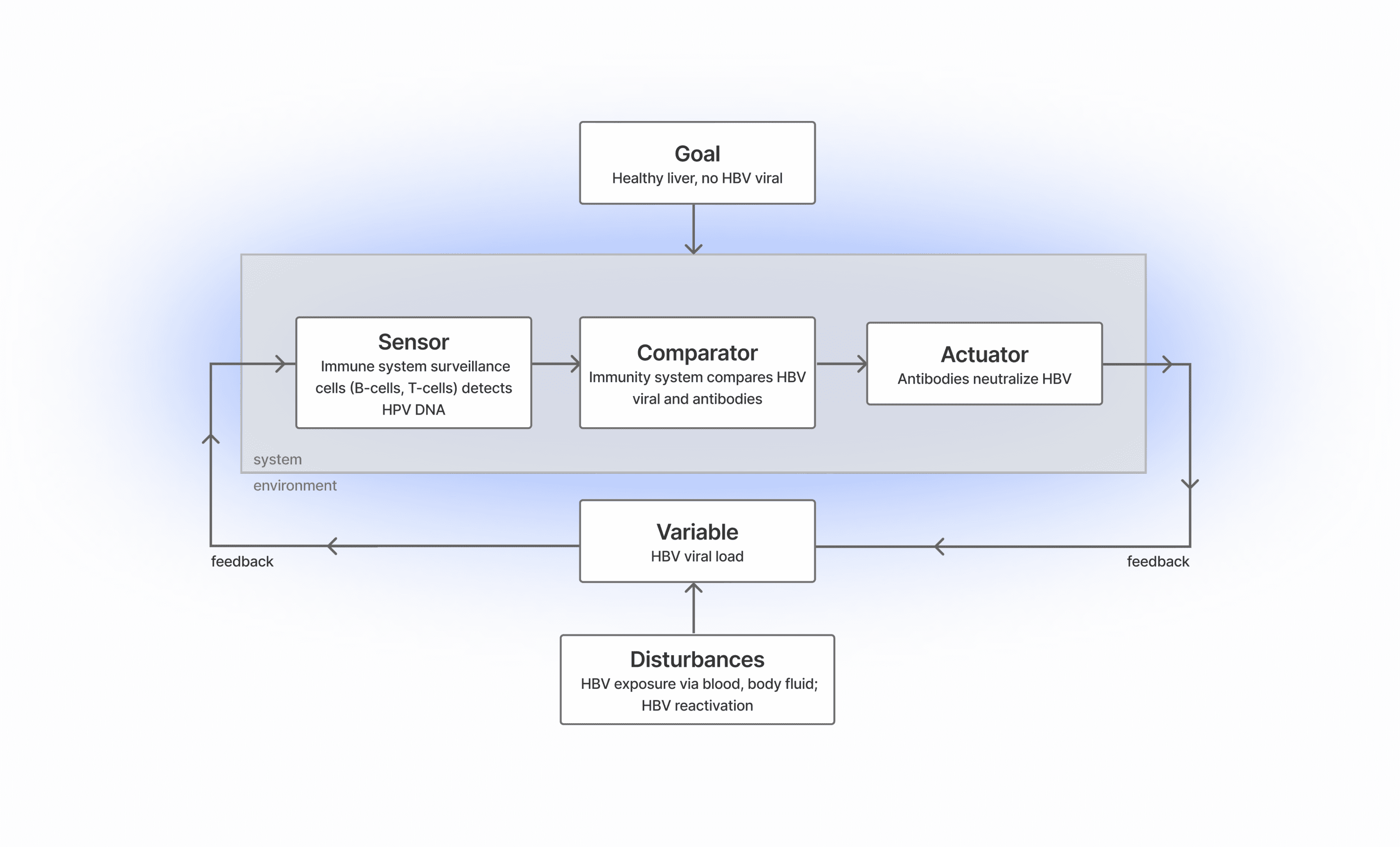 Feedback loop of a healthy system