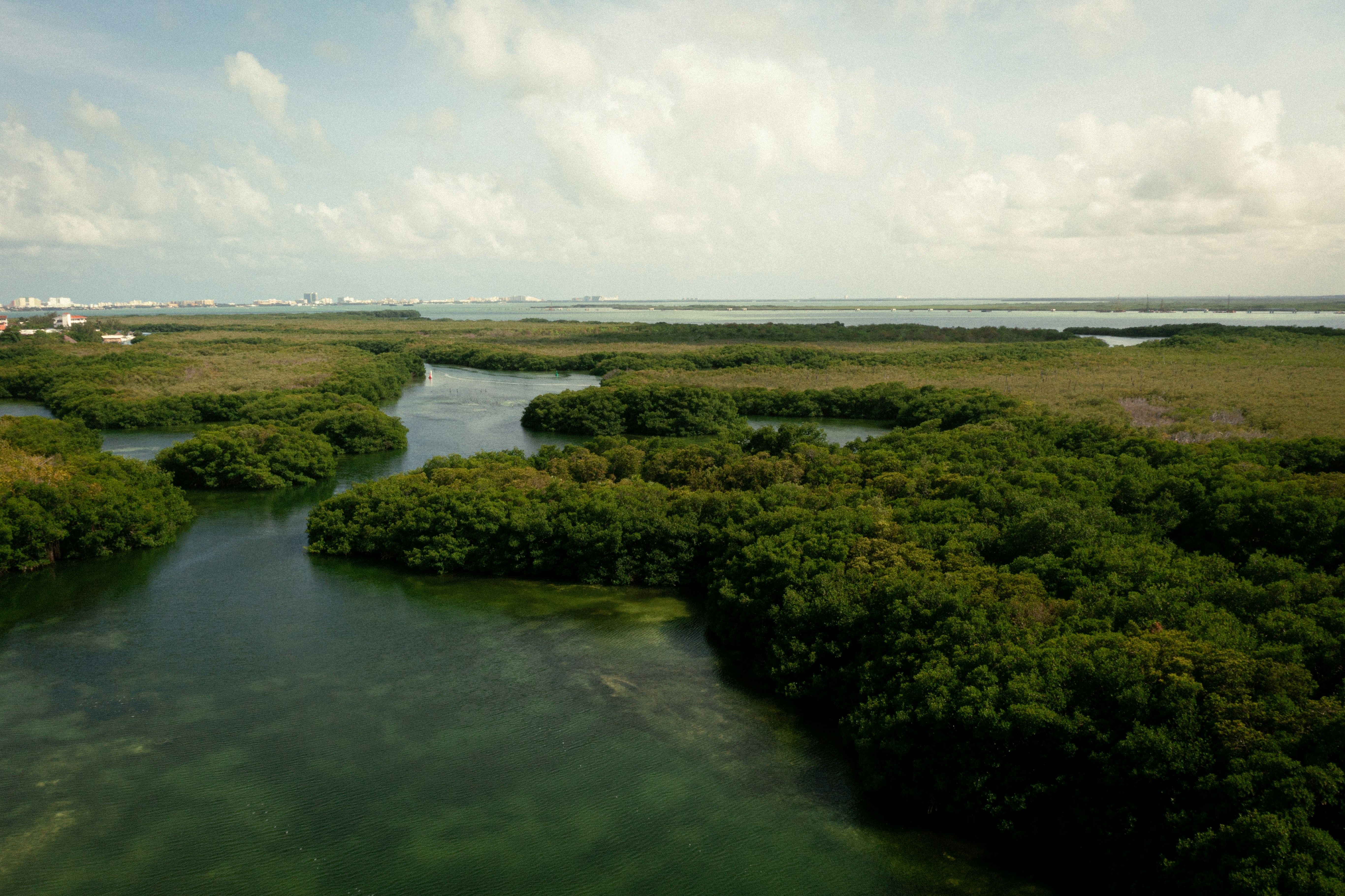 Luchtfoto van weelderige groene mangroven die kronkelende waterwegen omringen onder een heldere lucht met wolken.