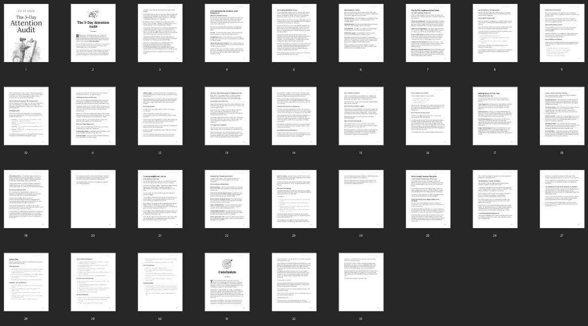 Entrepedia 1767882473548-The-3-Day-Attention-Audit---Guide