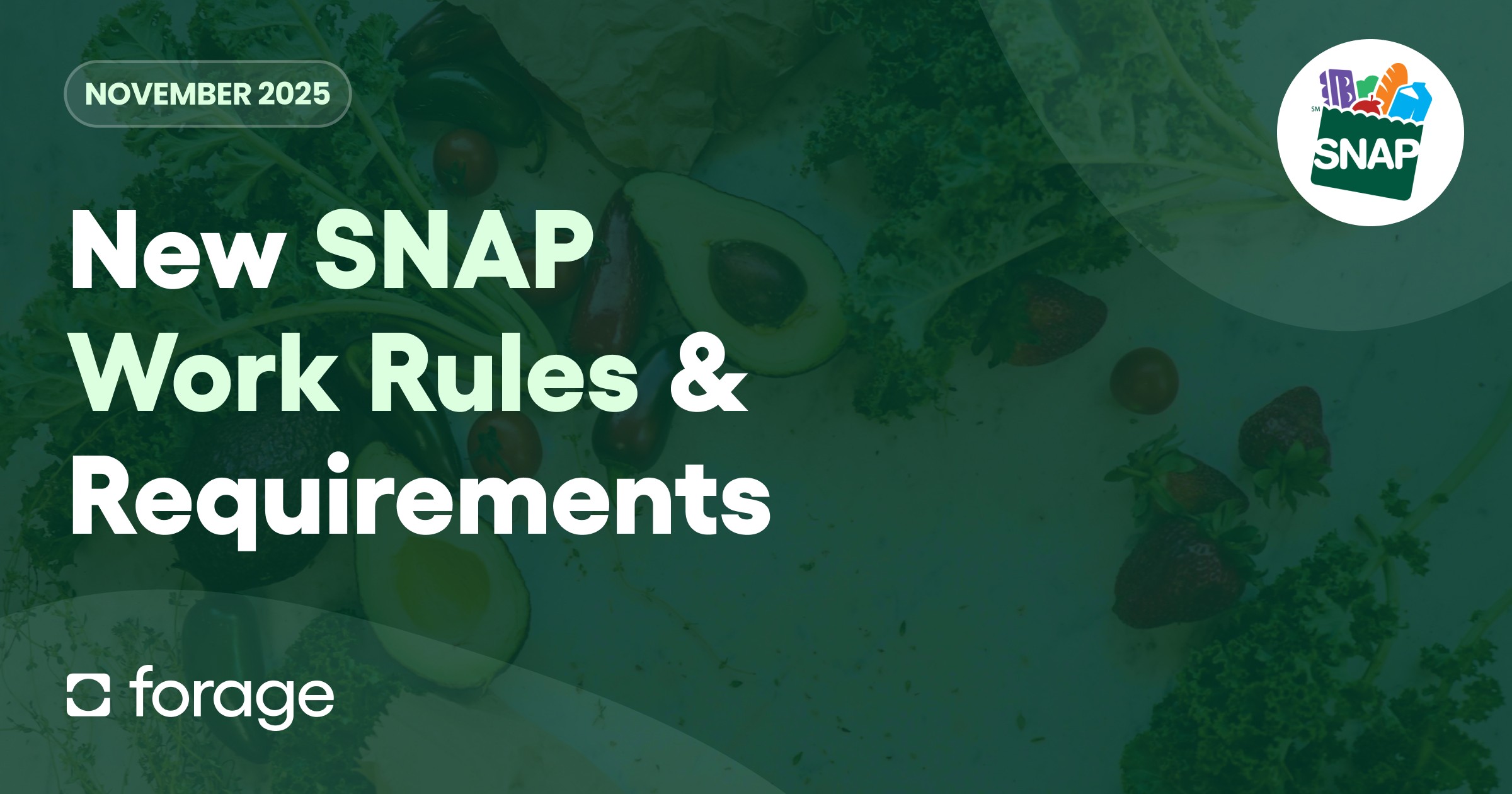 New SNAP Work Rules & Requirements