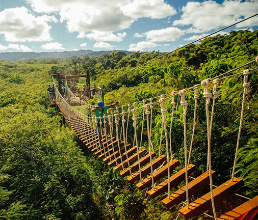 Two zipliners journey across the rope bridge high atop the fall colored trees of the Smokies.