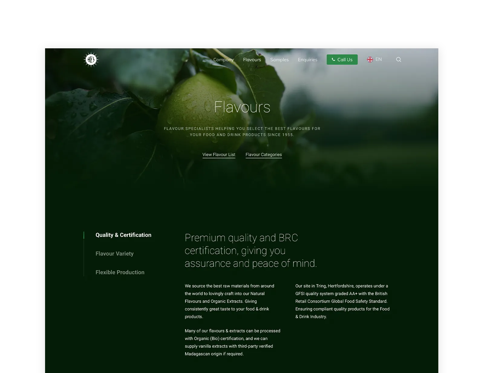 Stringer Flavours Website