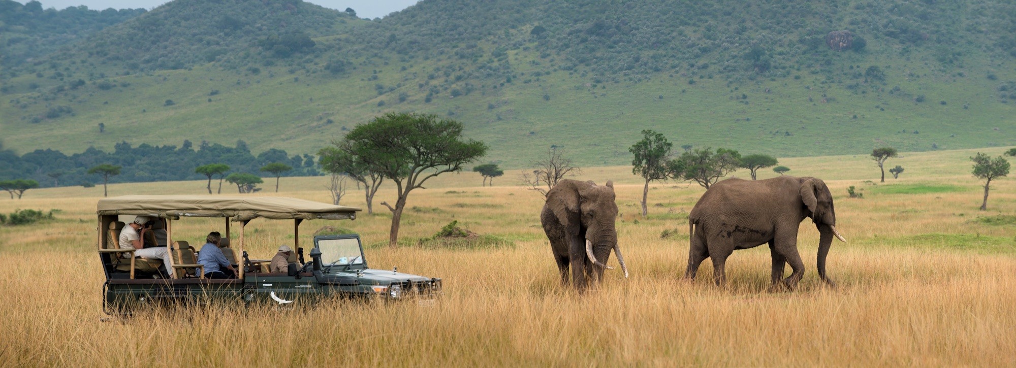 A single open vehicle beside two elephants on the Mara's grass plains, the escarpment behind