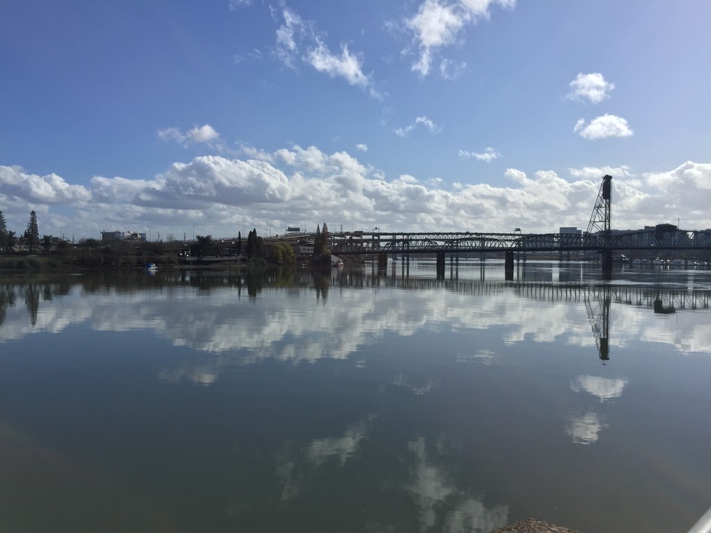 Background Image testimonial Section