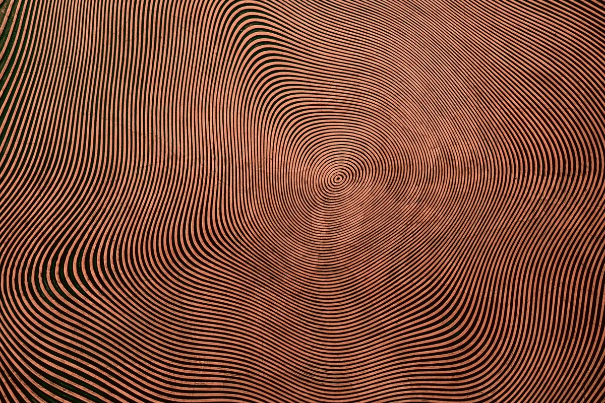 Aerial view of concentric spiral brick pattern radiating from center, resembling growth rings or a fingerprint