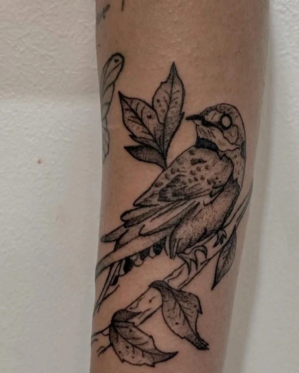 Tatuaje