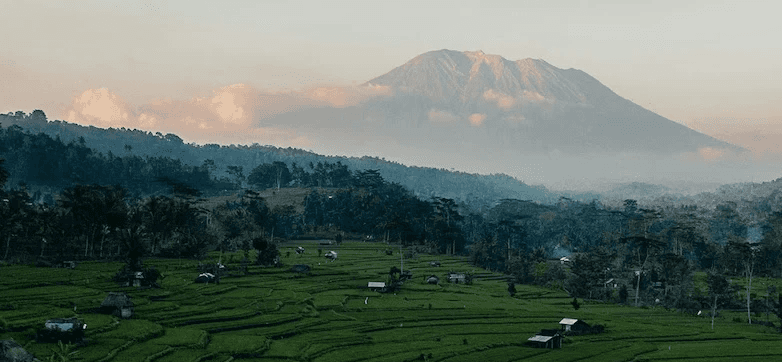 Real estate analytical agency in Bali. Investment tour in bali