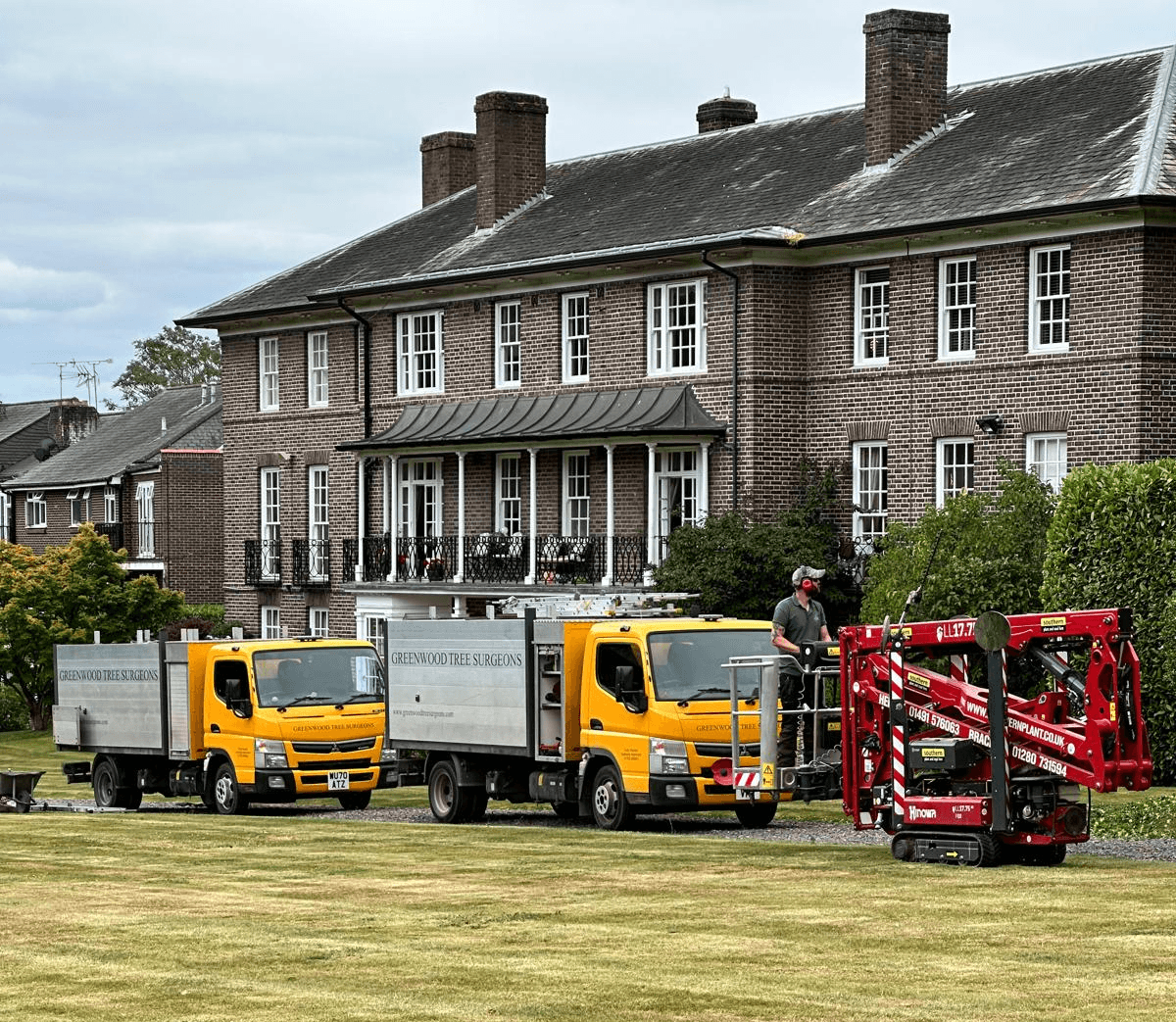 a-climber-tackles-a-tall-tree-using-ropes-in-a-lush-forest-setting.-energetic-an - zak-bentley (pexels)