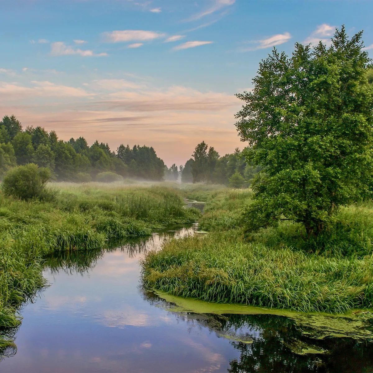 Küldetésünk - Bazsó Méhészet Prémium Magyar Méz