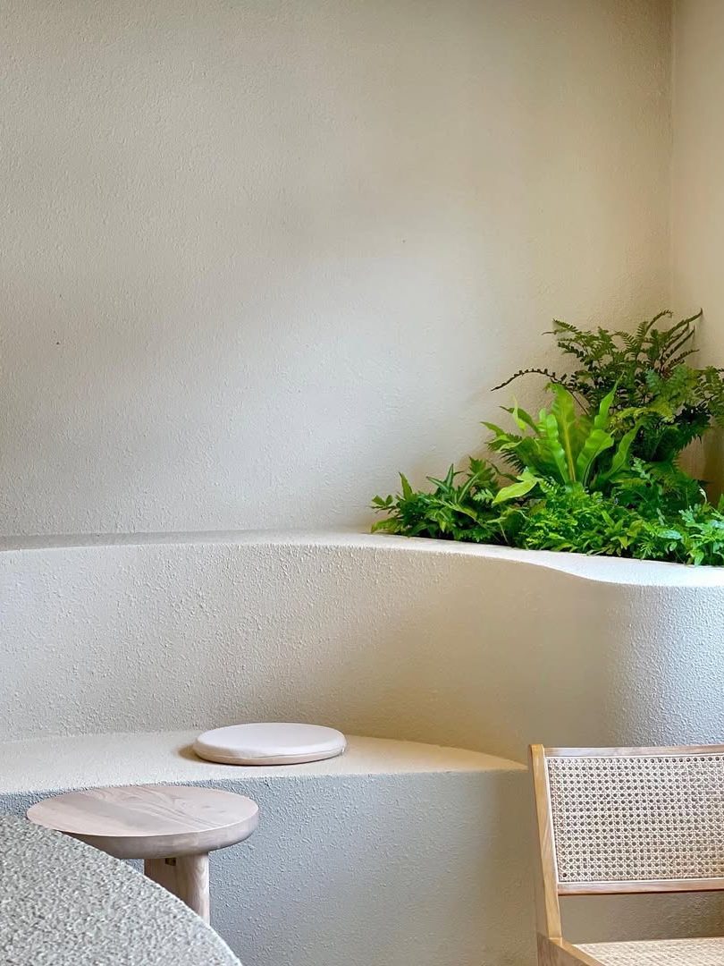 A minimalist interior featuring a curved white wall with a small green plant arrangement and a wooden stool beside a woven chair.