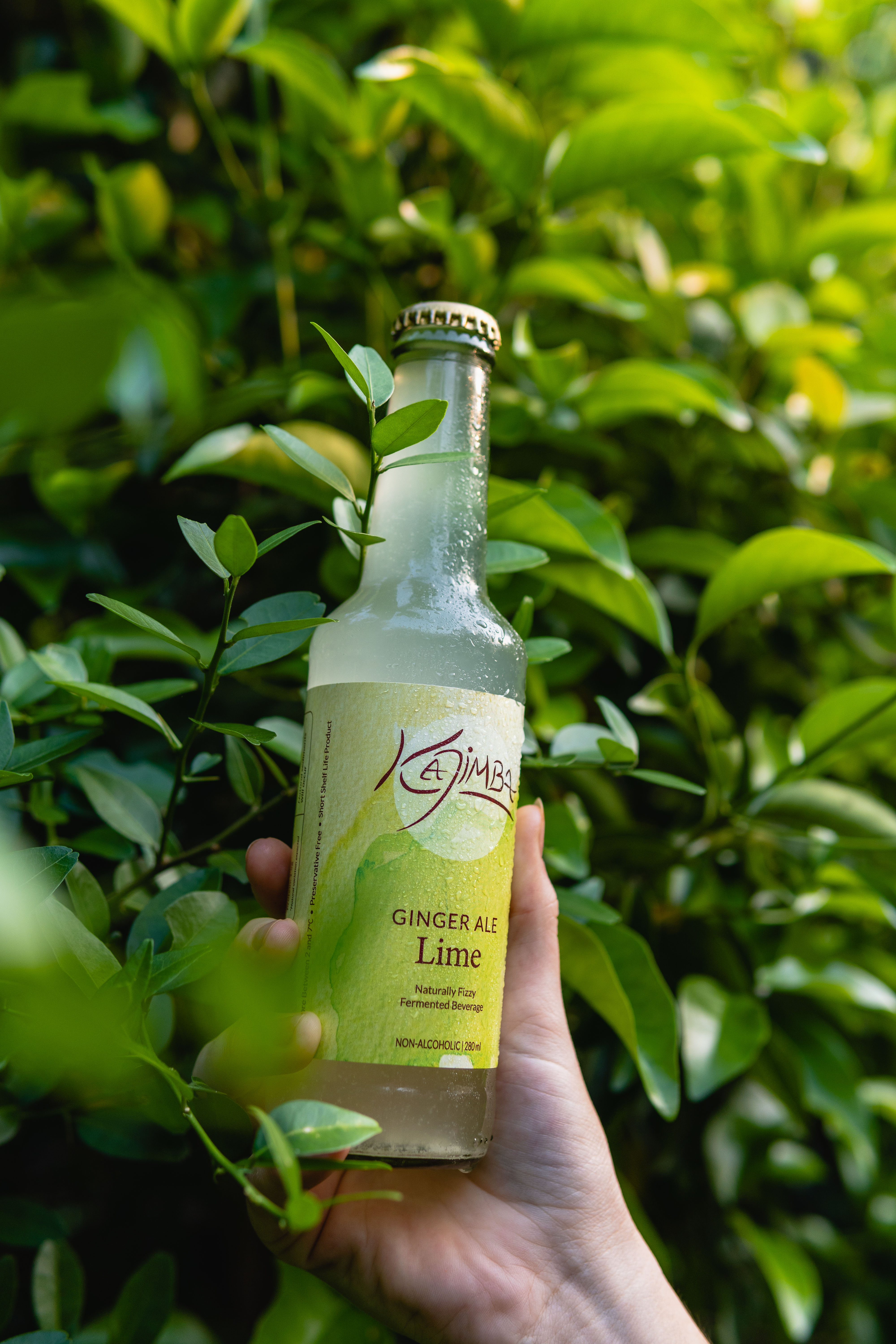 Lime Kajimba bottle next to a glass filled with Kajimba, both adorned with a lime slice.