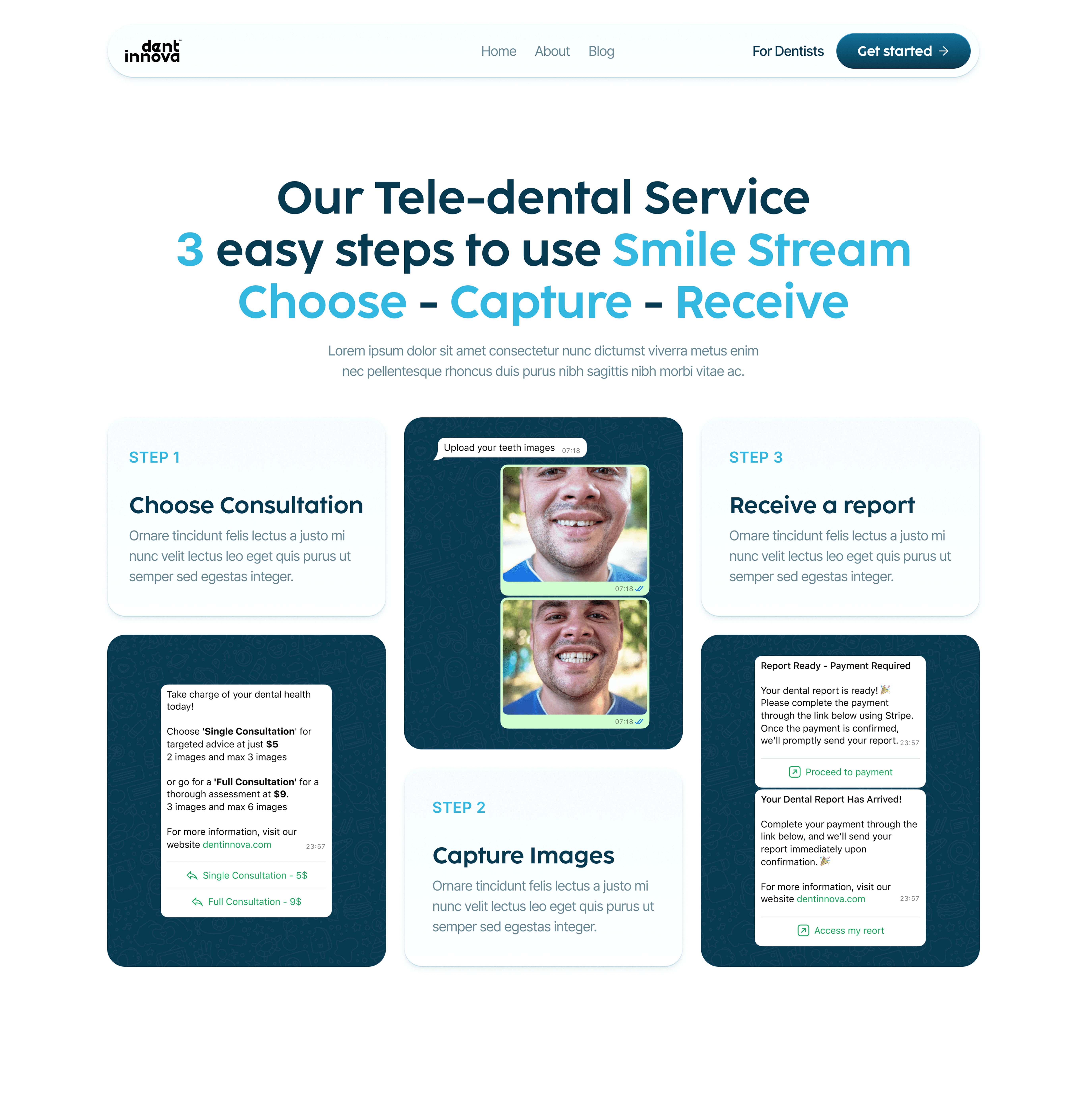 Screen for Denntinova Website