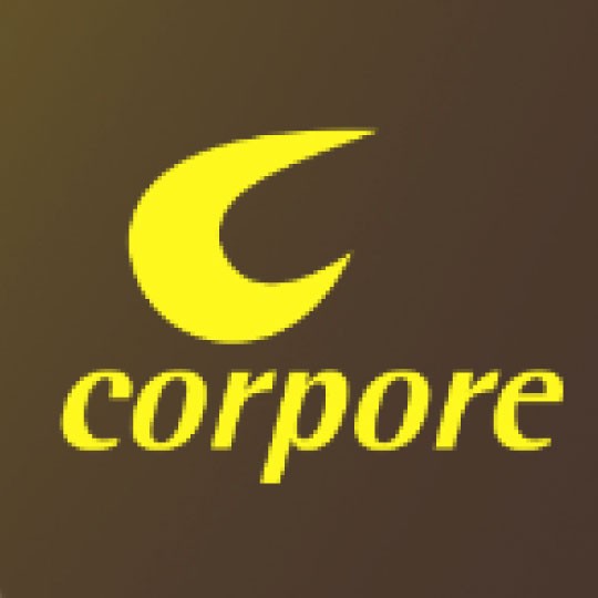 Parceiro 1