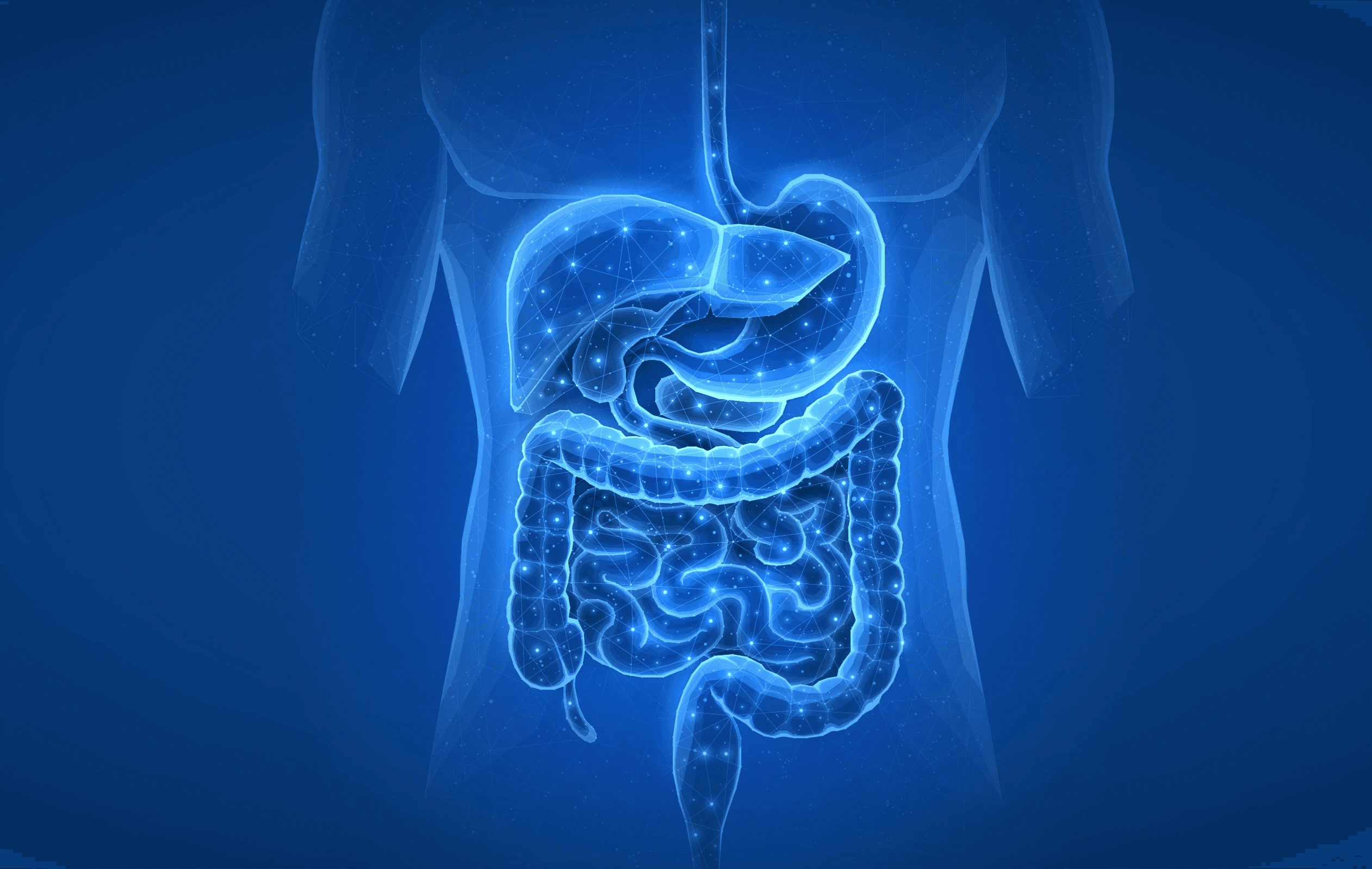 ERCP işlemi sırasında safra ve pankreas kanallarının endoskopik olarak görüntülenmesini gösteren görsel