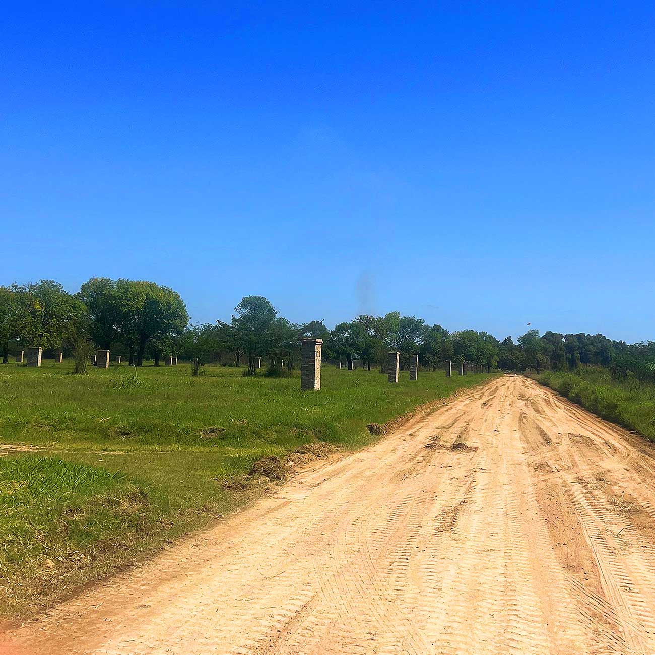 Lotes Para Todos - Nuevo Horizonte