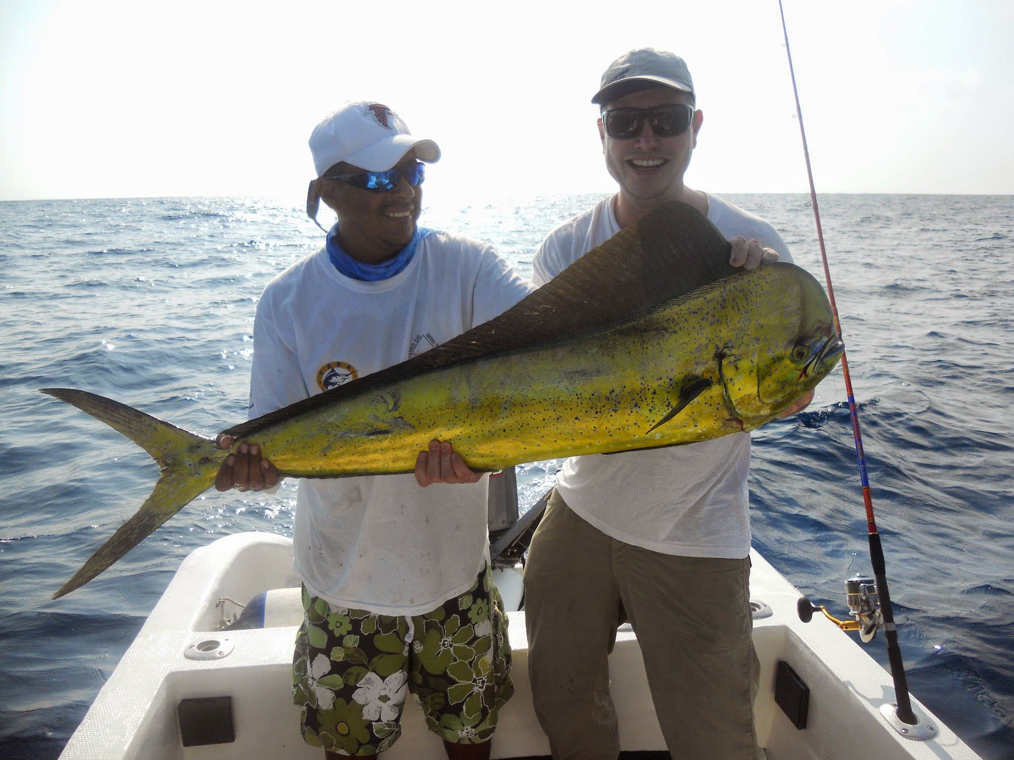 Mexico, sailfish, rooster, mahi mahi