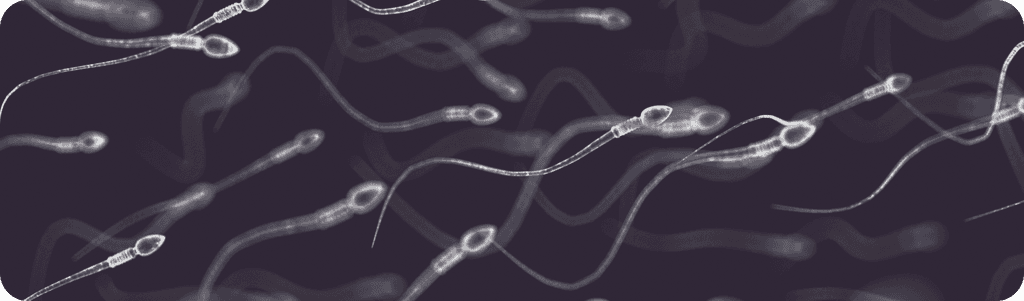 Sperm swimming against a dark navy background