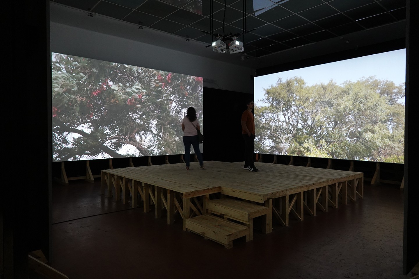 Diego Obligado Galería de Arte - Diego Vergara. Dibujos. Lo numinoso, Examen de conciencia y Los próximos. Pertenecientes al tríptico Estado de situación Grafito sobre papel - 70 x 50 cm. CU - 2024