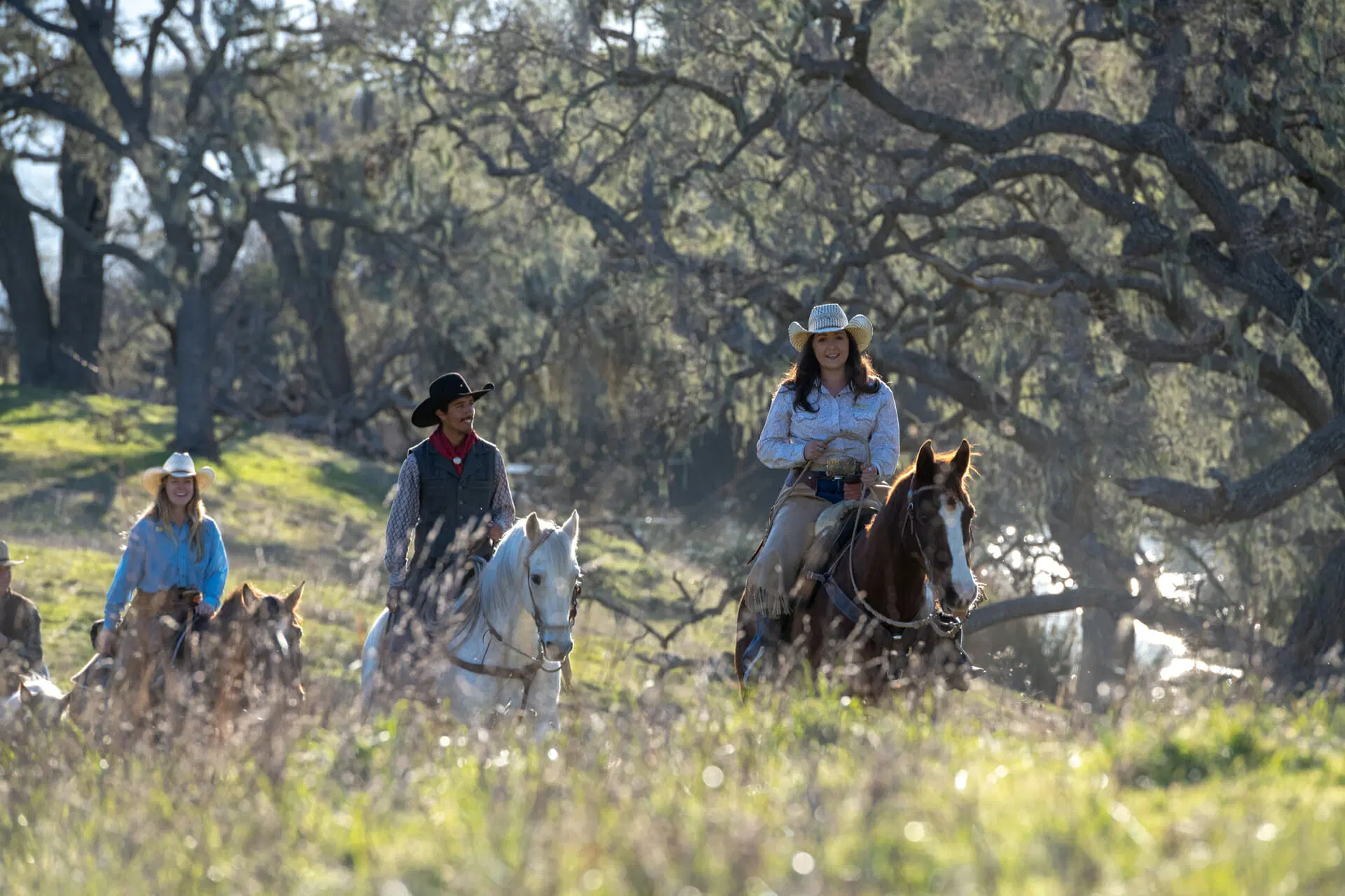 Dude Ranch in USA