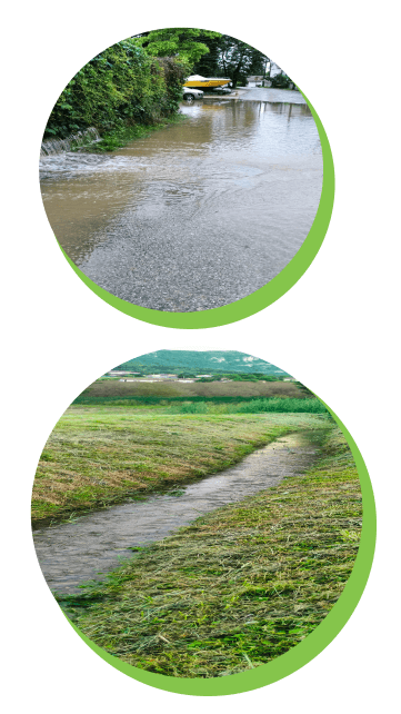 Speaker Presenting at Conference with Audience