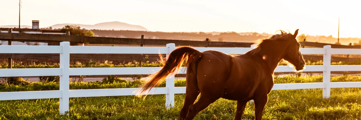 A farm with a fence and a barn in the background