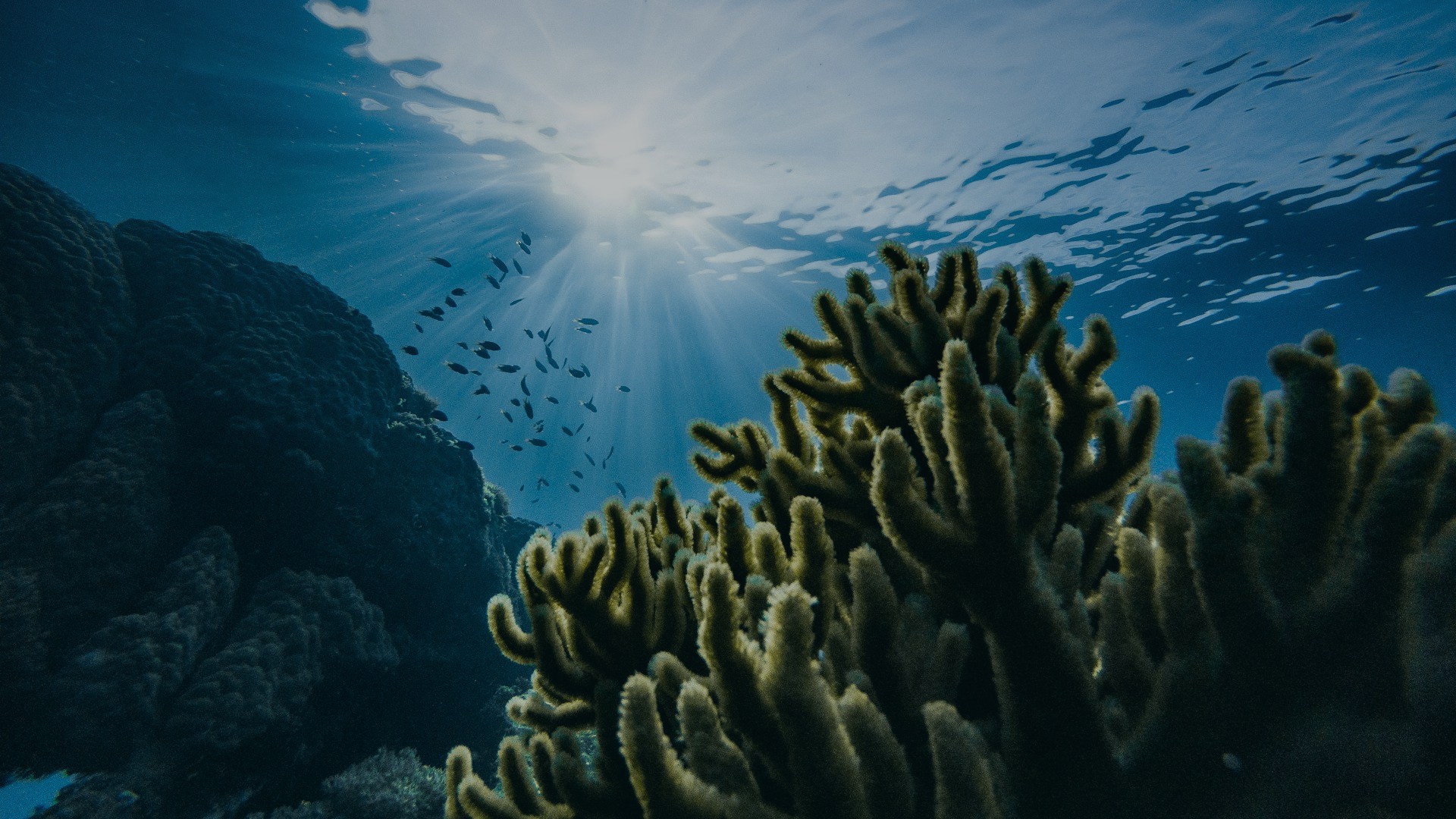 Chuuk Lagoon, Weno, Federated States of Micronesia