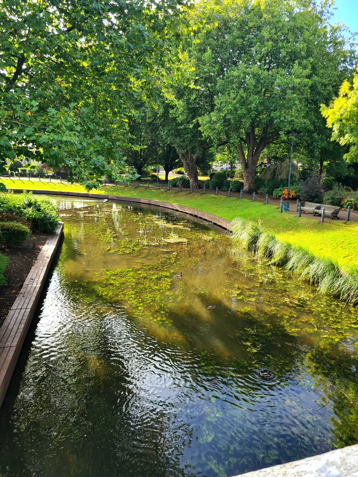 clean river from our rivers septic tank upgrade