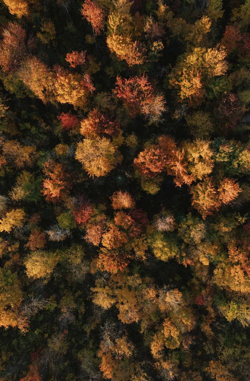 FERME NORFELD ÉRABLIÈRE SHACKHAM