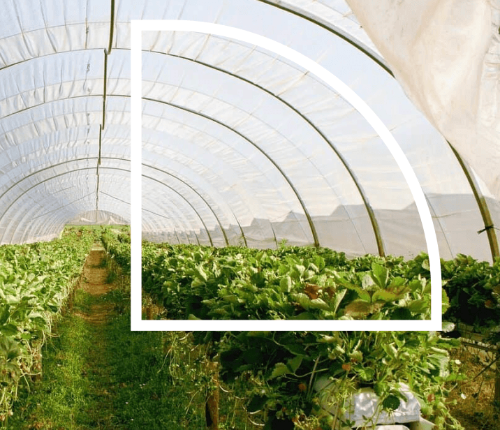 Logotipo formado por las palabras weuta en blanco sobre fondo naranja corporativo.