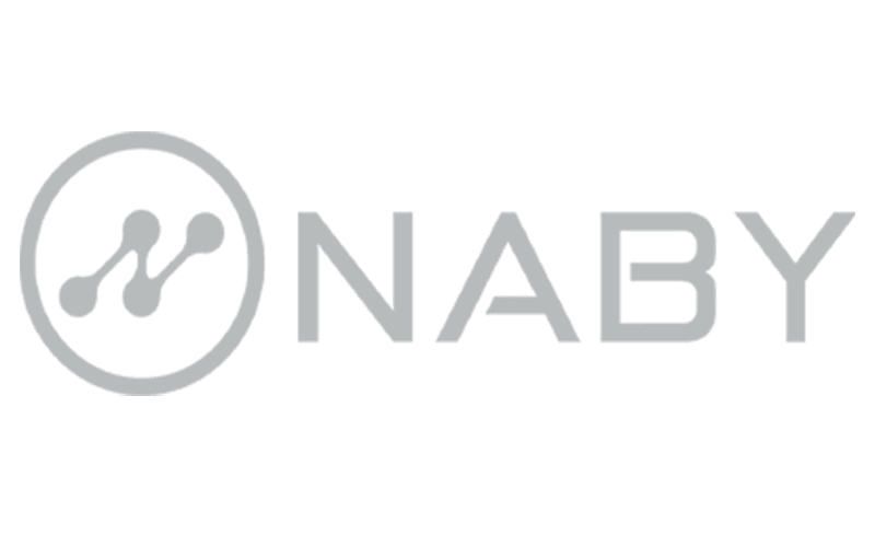 Logo Naby gris
