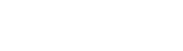 The Artist