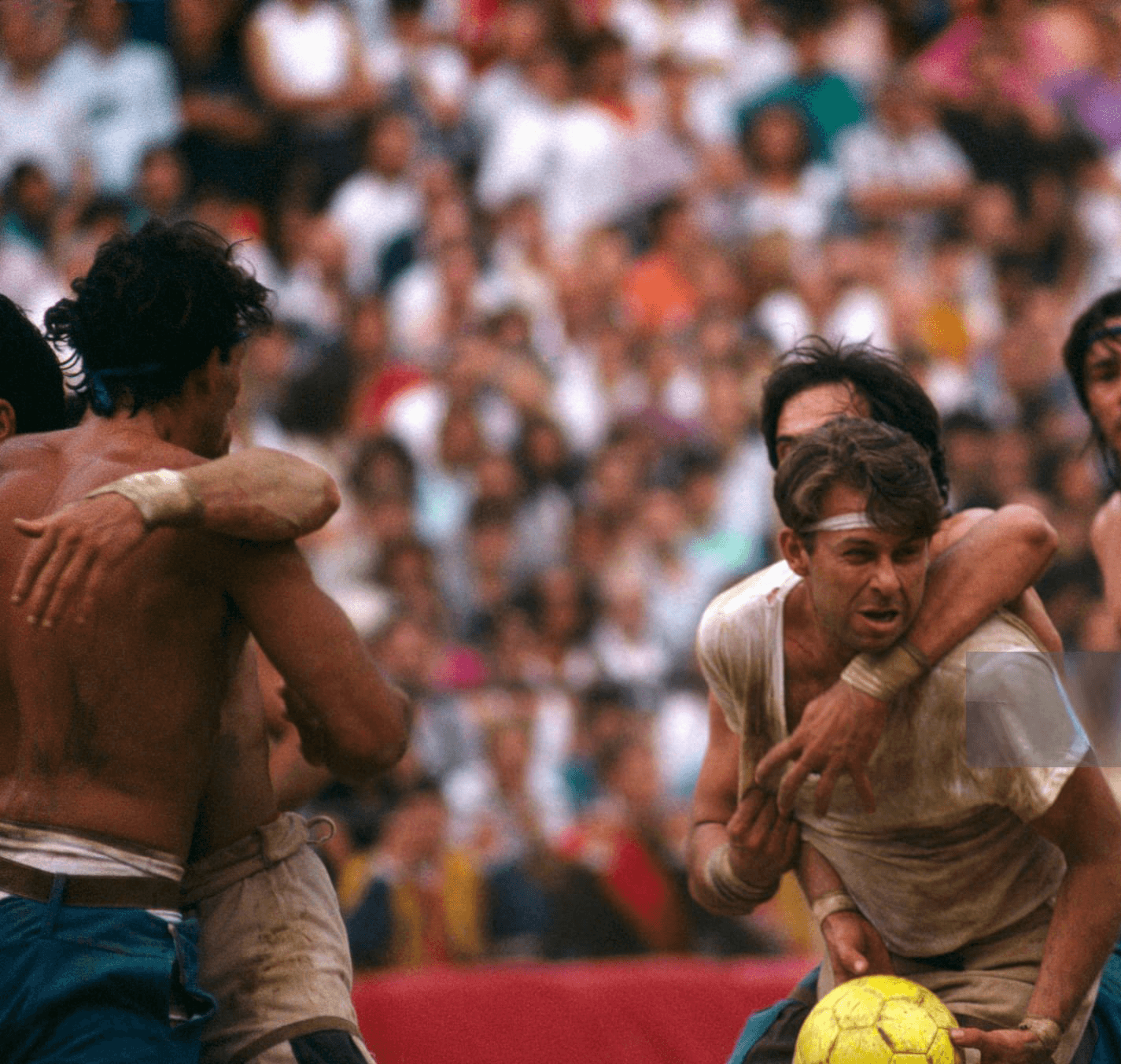 Framer Template - Arqos